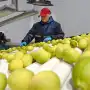 Ningún atajo: el desarrollo se construye empresa por empresa