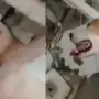 Me lamía cuando me desmayaba: un joven sobrevivió 14 días bajo los escombros gracias a su perro en La Guaira