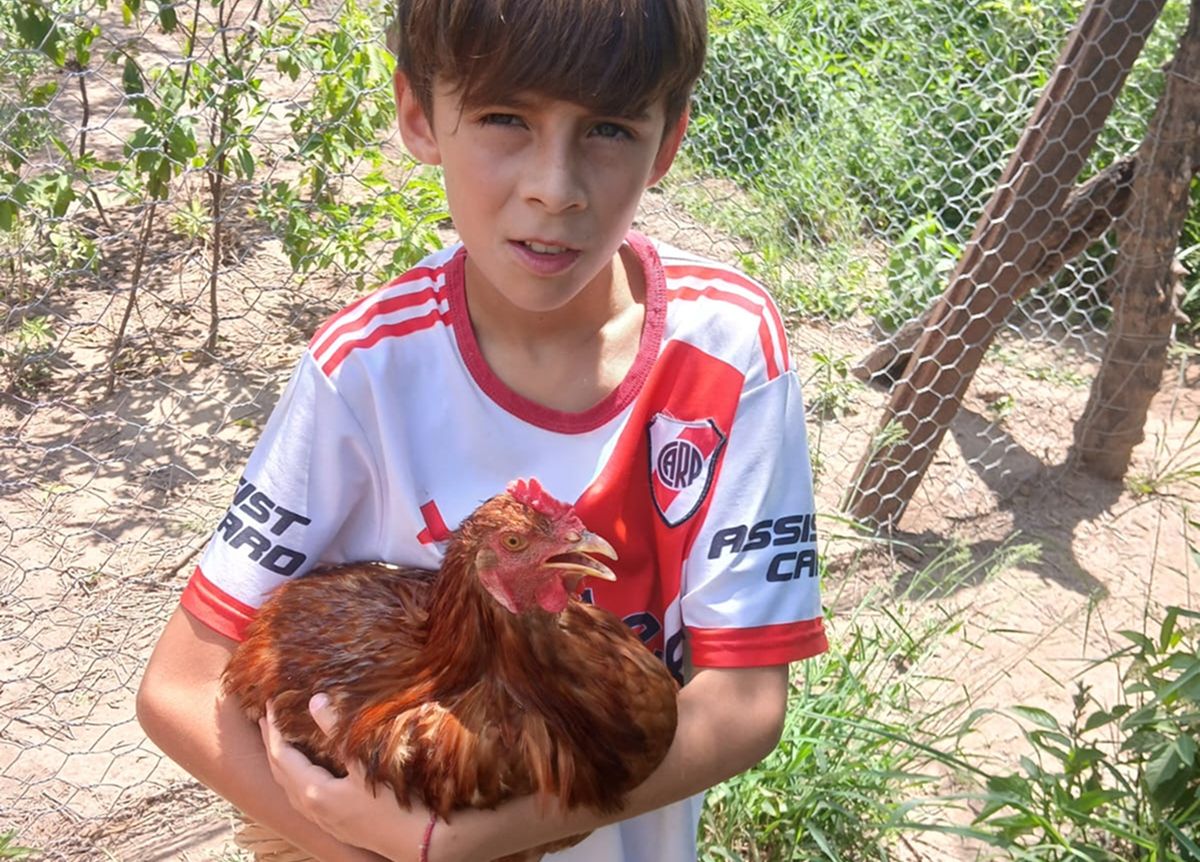 ENTRE LA GRANJA Y EL FÚTBOL. Antes de ponerse los botines, Ciro ayuda a alimentar las gallinas y los pollos que su familia cría en 7 de Abril.