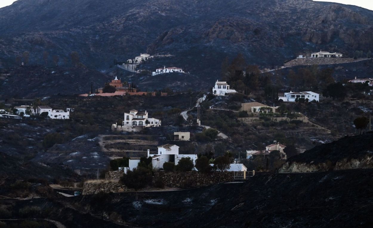 ZONA ESCARPADA. El fuego comenzó en el área de Los Gallardos.