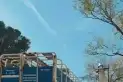El Senasa recordó cómo inscribir las playas de lavado de vehículos que trasladan hacienda