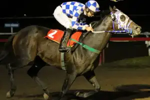 Un desafío de alto vuelo para Golden Warrior en el hipódromo tucumano