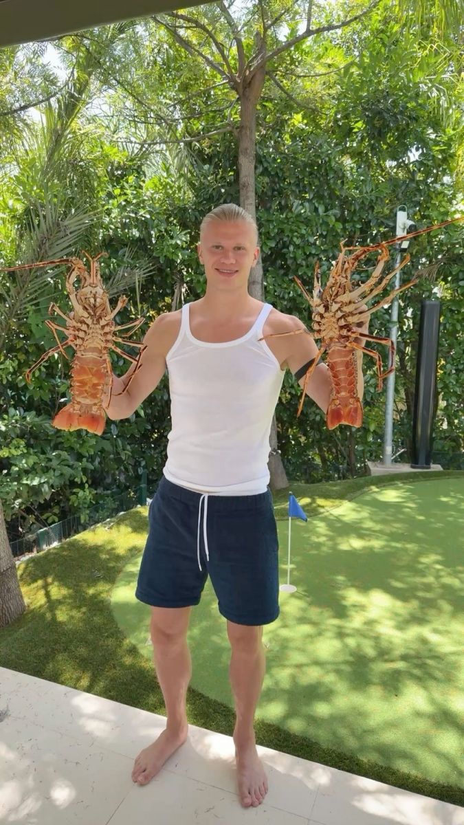 Erling Haaland, el vikingo wellness del Mundial