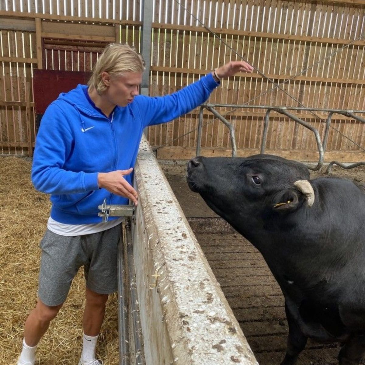 Erling Haaland, el vikingo wellness del Mundial