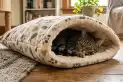 Cómo es el saco-cama para gatos: la alternativa ideal frente al invierno