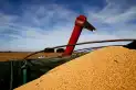El agro proyecta una cosecha récord y exportaciones por U$S41.500 millones pese al riesgo climático