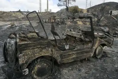 España: el incendio que arrasó con Los Gallardos ya tiene sus primeras víctimas identificadas