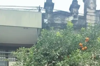 Hallan a una mujer sin vida en una casa de Rondeau al 700