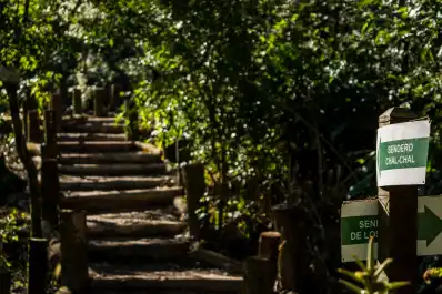 Qué hacer en Yerba Buena durante las vacaciones de invierno: guía de actividades gratuitas