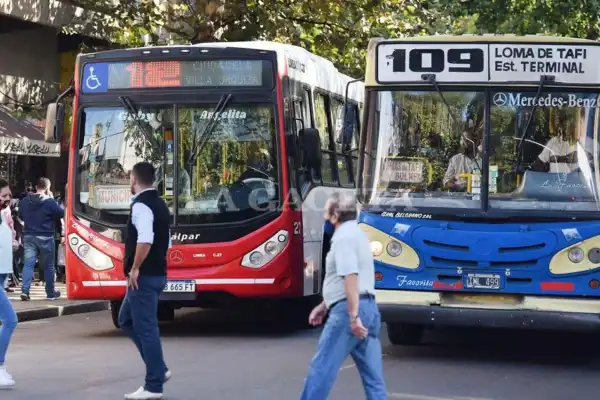 ¿Cómo circularán los colectivos en Tucumán durante el partido entre Argentina e Inglaterra?
