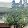 Hallan a una mujer sin vida en una casa de Rondeau al 700