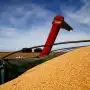 El agro proyecta una cosecha récord y exportaciones por U$S41.500 millones pese al riesgo climático