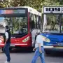 ¿Cómo circularán los colectivos en Tucumán durante el partido entre Argentina e Inglaterra?