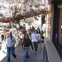 Vacaciones de invierno en Tafí del Valle: cuánto dinero hace falta para pasar el día o quedarse a dormir