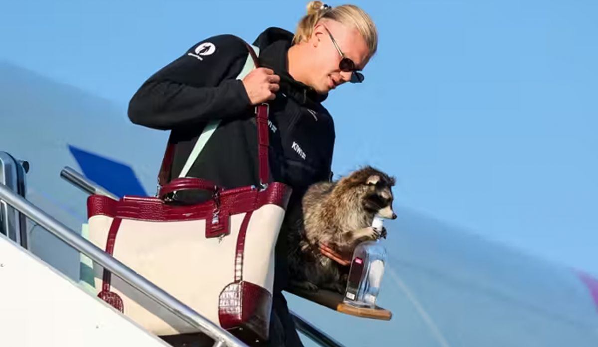 El Ins lito Souvenir Que Erling Haaland Se Llev A Casa Tras La 