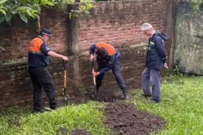 En menos de 10 años, se denunciaron estafas por $12.000 millones