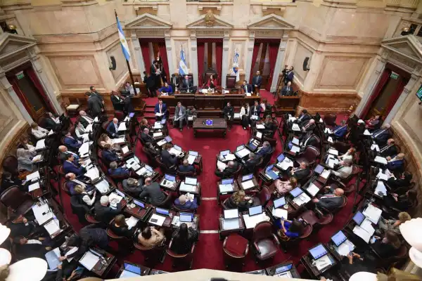 El oficialismo reactiva el Senado con el debate sobre propiedad privada