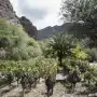 El sol implacable, el paisaje hostil y la cabalgata que sirvió para encontrar un vino de 98 puntos