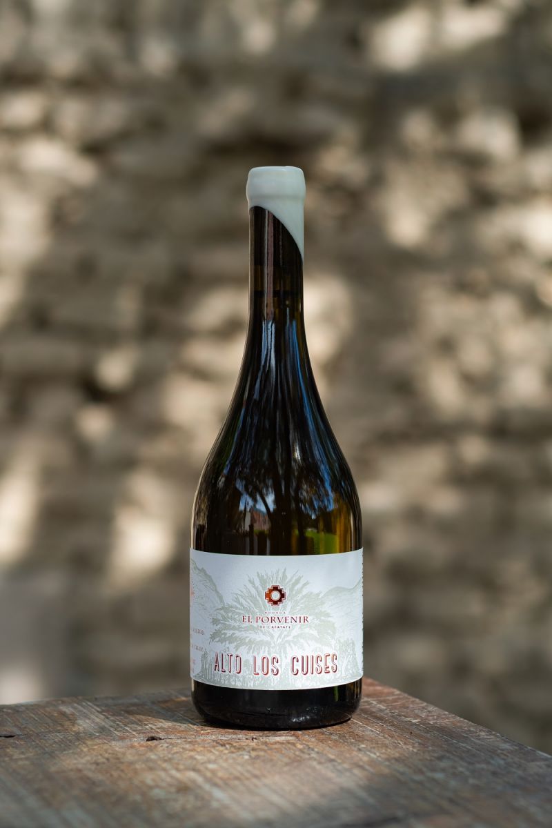 EL VINO. El Malbec de El Porvenir obtuvo 98 puntos en la guía de Tim Atkin. 