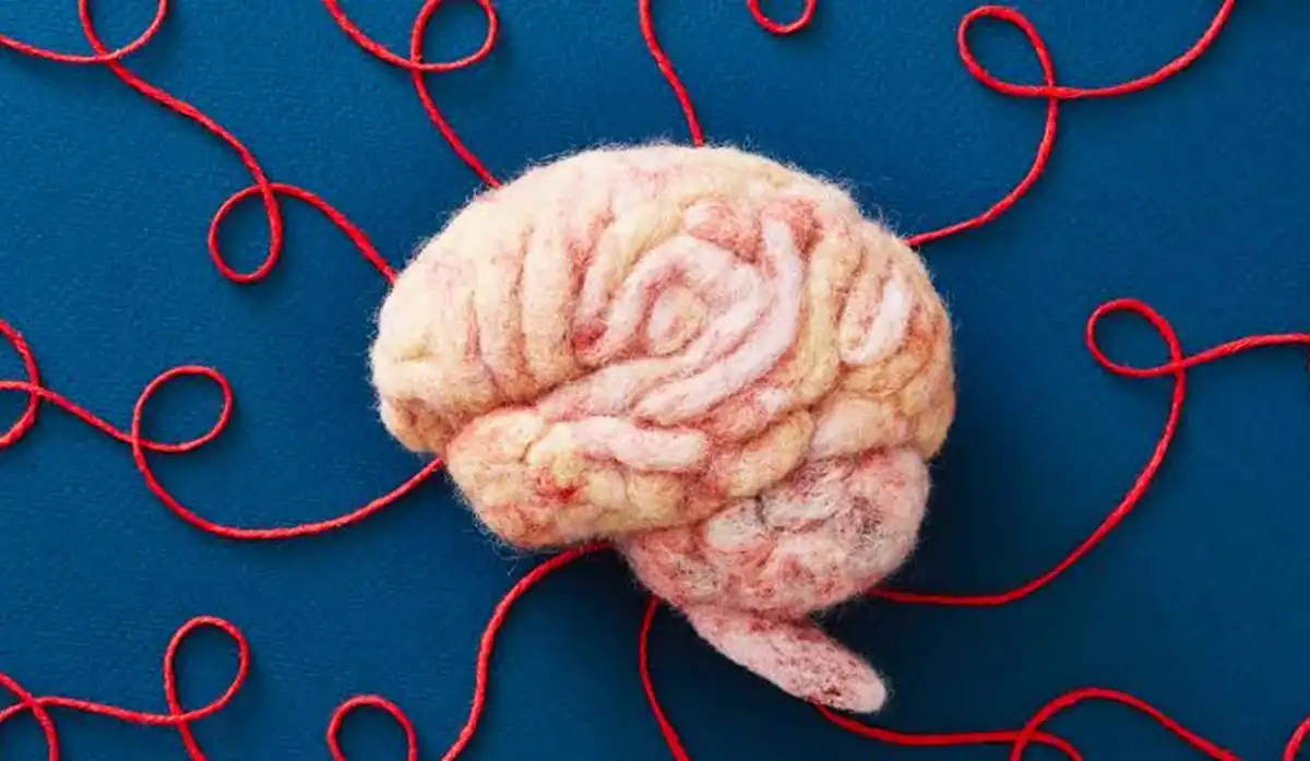 Los alimentos que protegen la memoria y previenen el deterioro cognitivo, según la Universidad de Harvard