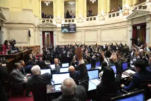 Revés para el Gobierno nacional: la Ley de Tierras no tuvo apoyo en el Senado