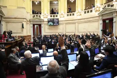 Revés para el Gobierno nacional: la Ley de Tierras no tuvo apoyo en el Senado