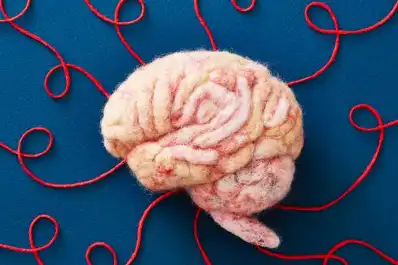 Los alimentos que protegen la memoria y previenen el deterioro cognitivo, según la Universidad de Harvard