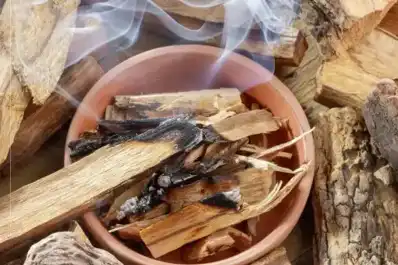 La cábala del Cuti Romero y Licha Martínez: para qué sirve el palo santo y cuáles son sus beneficios
