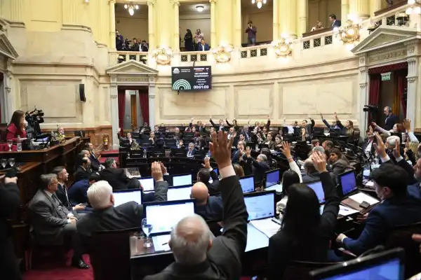 Revés para el Gobierno nacional: la Ley de Tierras no tuvo apoyo en el Senado