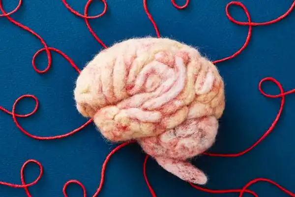 Los alimentos que protegen la memoria y previenen el deterioro cognitivo, según la Universidad de Harvard