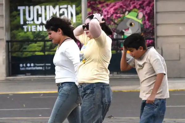Tucumán bajo alerta amarilla por ráfagas de viento Zonda: ¡la mínima fue de 24°!
