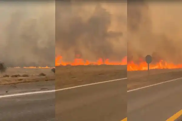 Alerta en la ruta 9: un voraz incendio complica la circulación entre Ticucho y Vipos