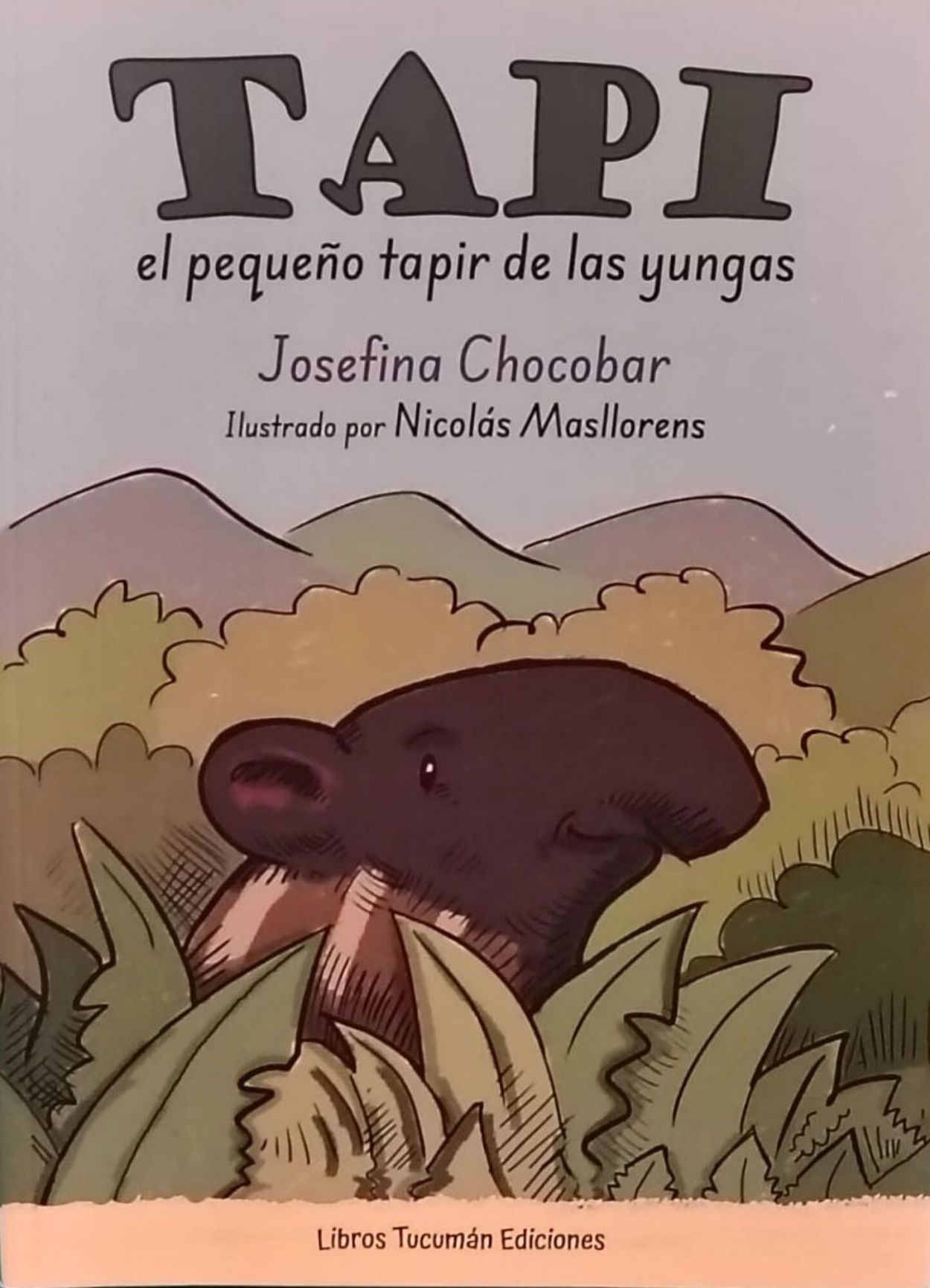 LA PORTADA. “Tapi” vio la luz de la mano de Libros Tucumán Ediciones.