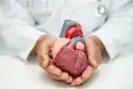 Especialistas cardiovasculares revisan la lista de cuidados para la final del Mundial