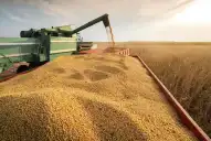 Ensayos muestran datos positivos para desecantes de soja