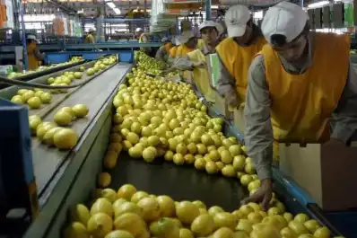 San Miguel estira vencimientos de deuda hasta 2034