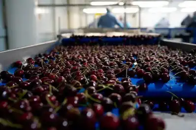 Latinoamérica como destino de fruta local