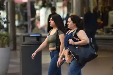 Calor extremo, incendios y daños en Tucumán por el paso del viento Zonda