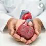 Especialistas cardiovasculares revisan la lista de cuidados para la final del Mundial