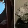 El meteorito que estrelló contra una casa de Nueva Jersey tiene los componentes básicos de la vida, según los astrónomos