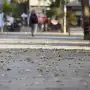 Tucumán continúa bajo alerta amarilla por viento Zonda: se espera una máxima de 27°C para este sábado