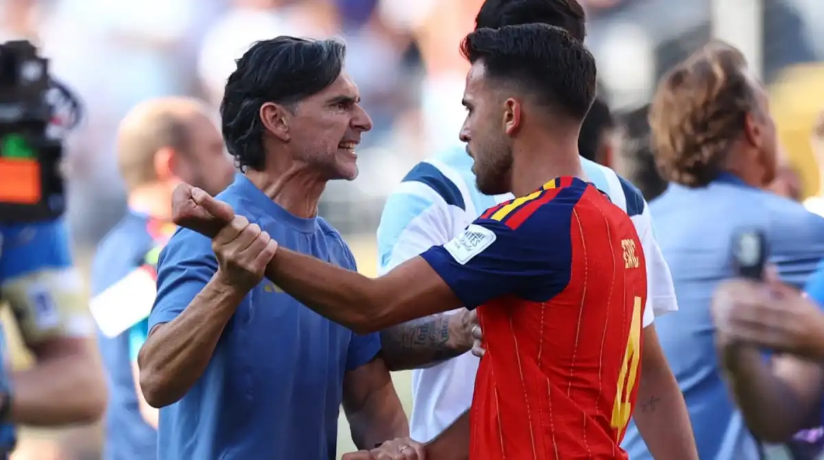No se vio en la transmisión: Roberto Ayala golpeó a un jugador español tras la final del Mundial
