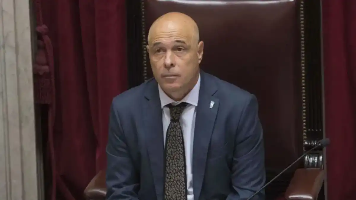 Se lo pagó él: el Gobierno defendió el viaje de un senador libertario la final del Mundial