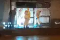 Asesinaron a un joven de una puñalada y la Policía sospecha que fue un intento de robo