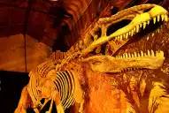Dinosaurios en Yerba Buena: el gigante dinosaurio argentino que se roba todas las miradas en las vacaciones de invierno