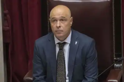 Se lo pagó él: el Gobierno defendió el viaje de un senador libertario la final del Mundial