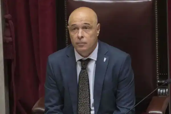 Se lo pagó él: el Gobierno defendió el viaje de un senador libertario la final del Mundial