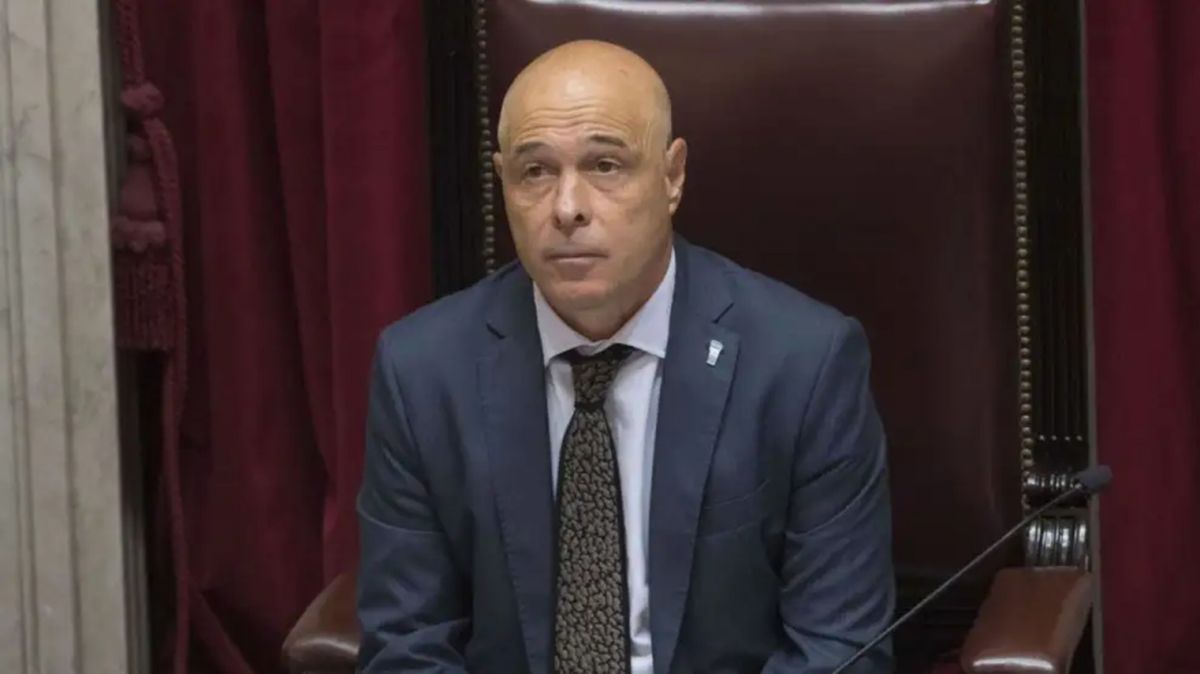 Se lo pagó él: el Gobierno defendió el viaje de un senador libertario la final del Mundial