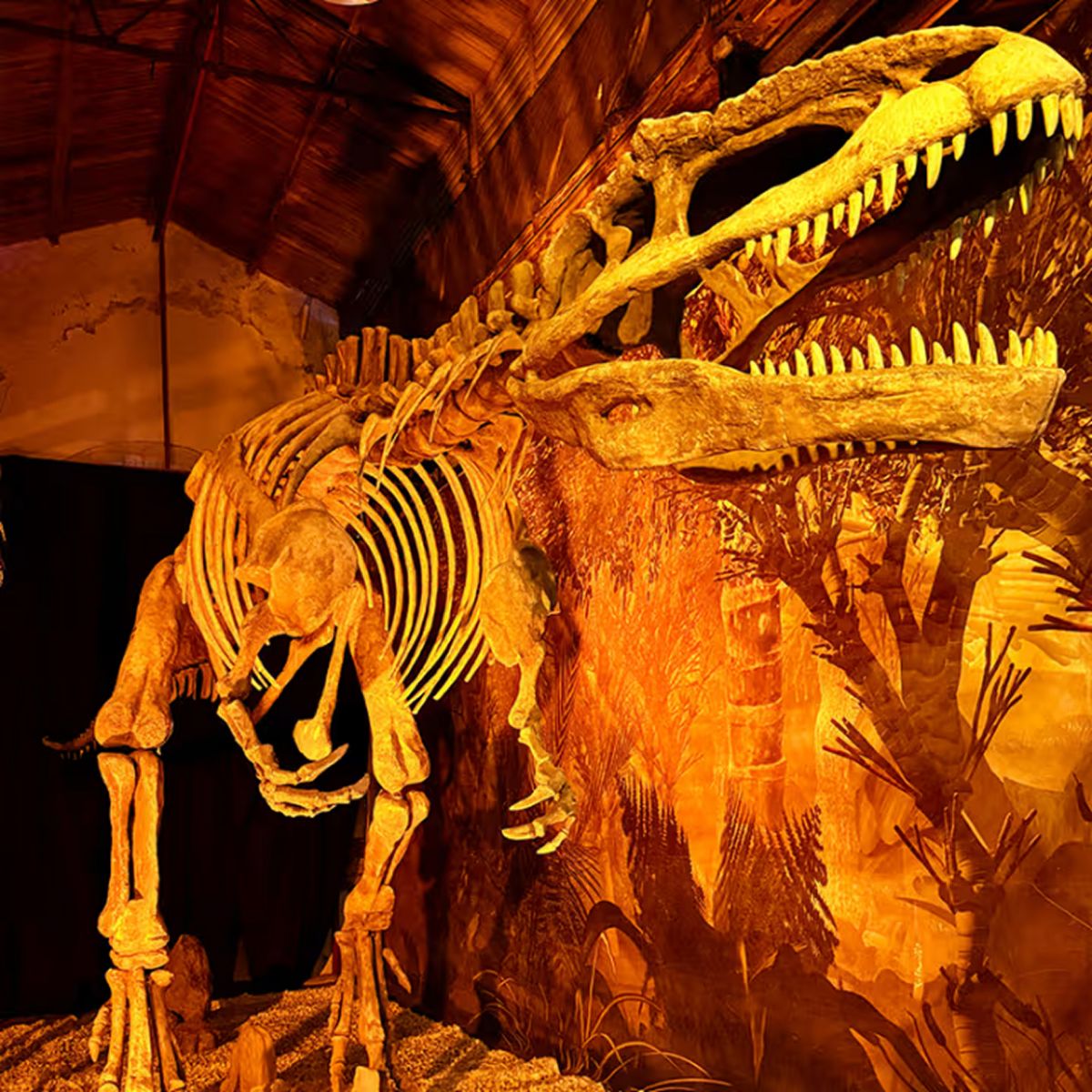 FÓSILES. Otra de las salas de la muestra en El Portal. 