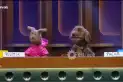 Pache y Plumi, los primeros perros streamers de Argentina que condujeron con Pergolini